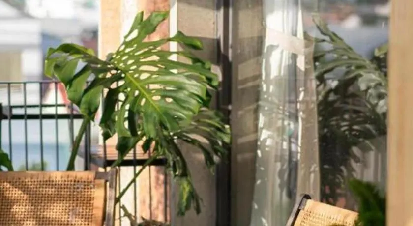 ***  Thalia Boutique Hotel Hoian Hoi An Vietnam